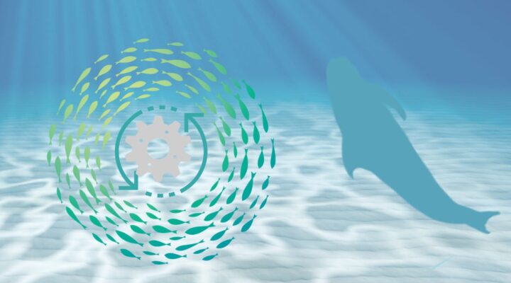 idealkoc-kaizen-surekli-iyilestirme